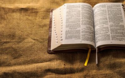 COVID-19 Update – 3.21.20