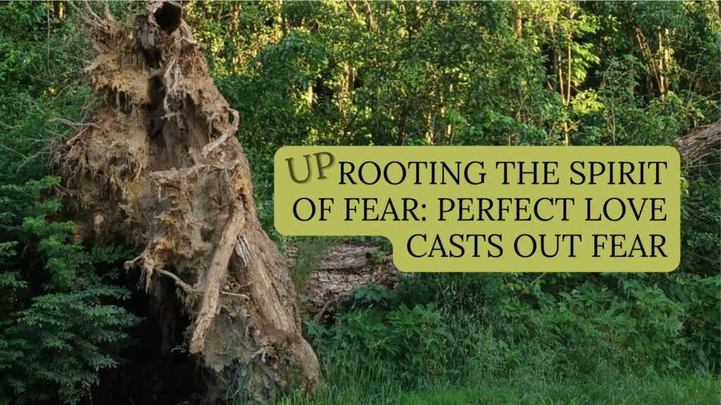 uprooted tree on green background